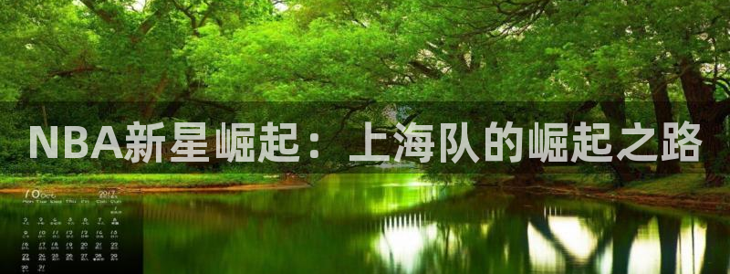 NBA新星崛起：上海队的崛起之路