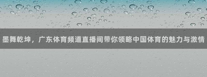 墨舞乾坤，广东体育频道直播间带你领略中国体育的魅力与激情