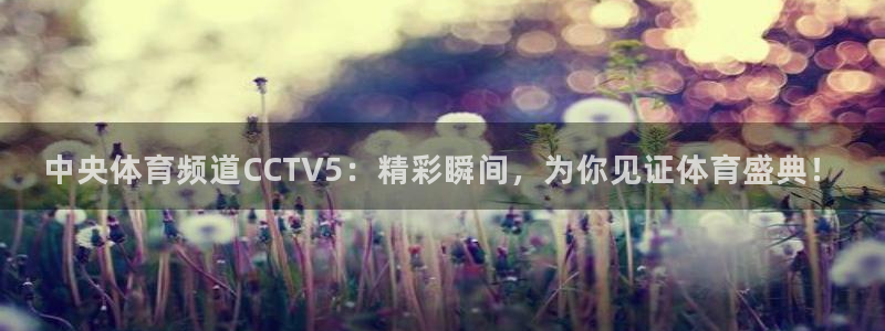中央体育频道CCTV5：精彩瞬间，为你见证体育盛典！
